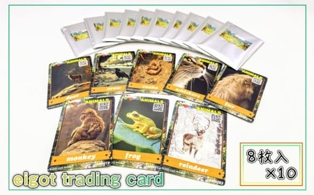 eigot trading card 80枚 | カード トレーディングカード 英語 学習 英単語 勉強 ゲーム 子供 大人 有限会社アイ電気 埼玉県 狭山市