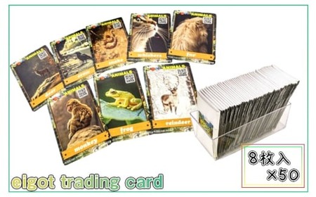 eigot trading card 1ボックス 400枚 | カード トレーディングカード 英語 学習 英単語 勉強 ゲーム 子供 大人 有限会社アイ電気 埼玉県 狭山市