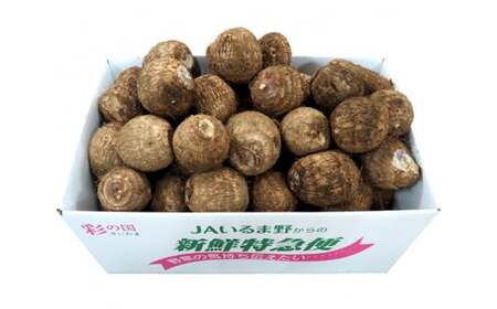 里芋 約3kg | 里芋 いるま野農協 狭山市