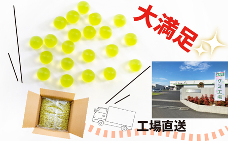 訳あり グミ メロン味 6kg 約1400粒 大容量 果実グミ おやつ お菓子 埼玉県 羽生市