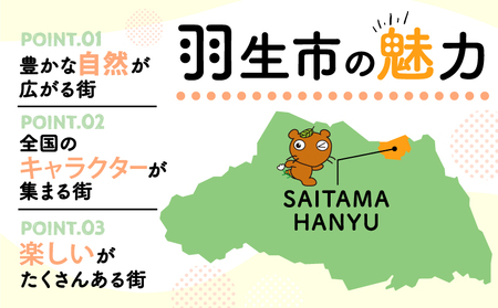 訳あり グミ メロン味 6kg 約1400粒 大容量 果実グミ おやつ お菓子 埼玉県 羽生市
