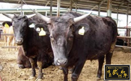 【訳あり】 武州和牛 すき焼き用 500g 黒毛和牛 霜降り 国産 牛肉 冷凍