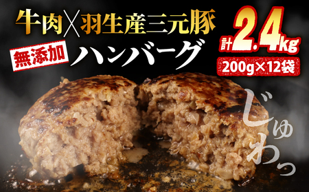 冷凍 ハンバーグ 2.4kg 牛肉 豚肉 合挽き 小分け 真空 個包装 大容量 大きめ 肉汁 たっぷり 保存料 不使用 無添加 淡路島 玉ねぎ ビーフ ポーク 牛 豚 肉 合いびき肉 挽肉 お弁当 おかず 惣菜 晩ごはん おつまみ お取り寄せ ごはんのお供 贅沢 ギフト お中元 お歳暮 贈り物 贈答 埼玉県 羽生市