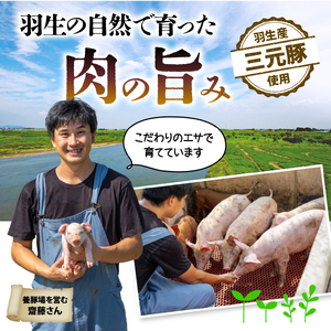 豚バラ スライス 1.2kg ( 300g ×4P ) 国産 豚バラ 冷凍