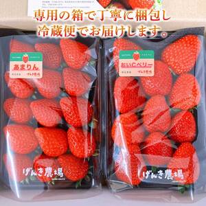 【予約受付】 いちご あまりん +農場長おすすめ品種 560g (280g×2P) 苺 食べ比べ イチゴ ストロベリー 産地直送 ご当地 果物 くだもの フルーツ デザート 食品 冷蔵 げんき農場 埼玉県 羽生市