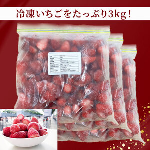 訳あり 冷凍 いちご 3kg 苺 フローズンイチゴ ストロベリー 苺 いちご