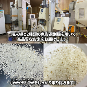 令和6年産 彩のきずな 30kg お米 精米 特A 埼玉県 ブランド米 羽生市 米 おこめ 賀山友の会第二