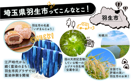 令和6年産 彩のきずな 30kg お米 精米 特A 埼玉県 ブランド米 羽生市 米 おこめ 賀山友の会第二