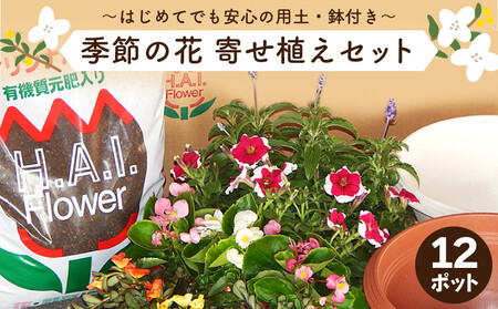 季節の花 寄せ植えセット 埼玉県羽生市 ふるさと納税サイト ふるなび