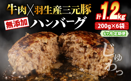 定期便 6回 ハンバーグ 1.2kg 無添加ハンバーグ ハンバーグ ハンバーグ ハンバーグ ハンバーグ ハンバーグ