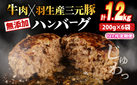 定期便 12回 ハンバーグ 1.2kg 無添加ハンバーグ ハンバーグ ハンバーグ ハンバーグ ハンバーグ ハンバーグ