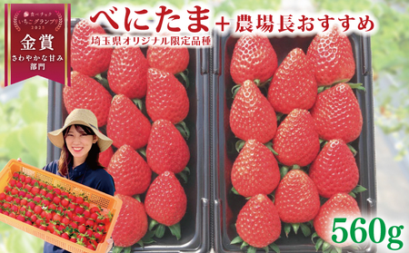 【予約】苺 べにたま +おまかせ品種 560g べにたま 苺 いちご げんき農場