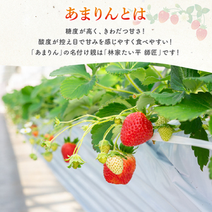 あまりん ジャム 3個 高級 いちご 苺 イチゴ ストロベリー ご当地 果物 くだもの フルーツ 苺 デザート 埼玉県 羽生市 げんき農場