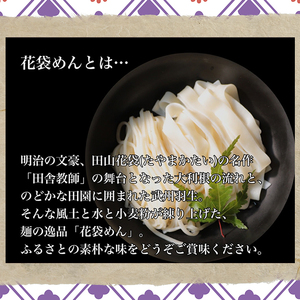 武州羽生名産 花袋ひやむぎ 10人前 明治六年創業 ひやむぎ 冷や麦 乾麺