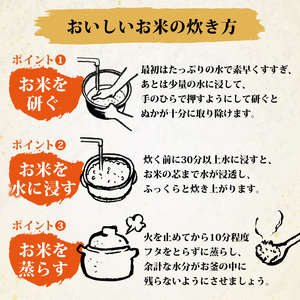 【米】 令和7年産 新米 彩のかがやき 5kg 米 埼玉県 羽生市