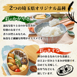 【米】 令和7年産 新米 彩のきずな 5kg 米 埼玉県 羽生市
