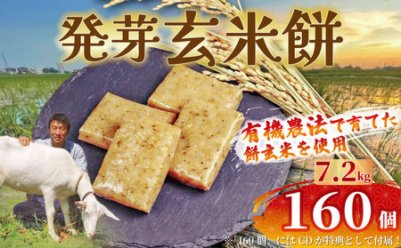 2026年1月以降順次配送 玄米餅 160個 個包装 発芽玄米 餅