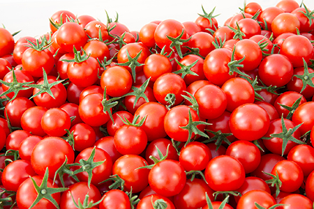 トマトジュース 500ml 2本 糖度10度以上 ごほうびとまと 100%