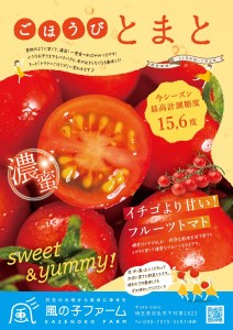 トマトジュース 500ml 2本 糖度10度以上 ごほうびとまと 100%