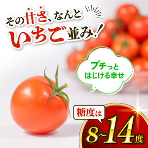 ごほうびとまと 150g 6パック 糖度8~14度 トマト とまと 
