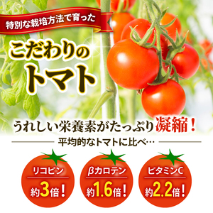 ごほうびとまと 150g 6パック 糖度8~14度 トマト とまと 