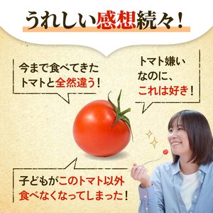 ごほうびとまと 150g 6パック 糖度8~14度 トマト とまと 