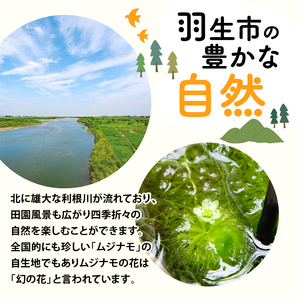 発芽 玄米 1.6kg パックごはん 10パック 機能性表示食品 生活習慣病 ケア 高血圧 中性脂肪 コレステロール 対策 健康 小分け パウチ レトルト 発芽玄米の底力 160g×10パック 埼玉県 羽生市