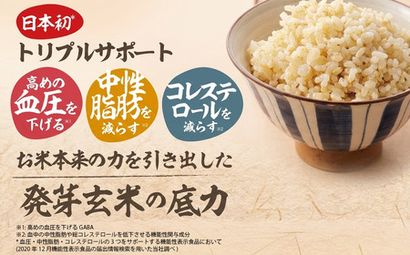 発芽 玄米 3.2kg パックごはん 20パック 機能性表示食品 生活習慣病 ケア 高血圧 中性脂肪 コレステロール 対策 健康 小分け パウチ レトルト 発芽玄米の底力 160g×20パック 埼玉県 羽生市