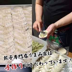 手作り 冷凍 生餃子 専門店 「うまみ家」 にんにく餃子 80個 惣菜 点心 中華