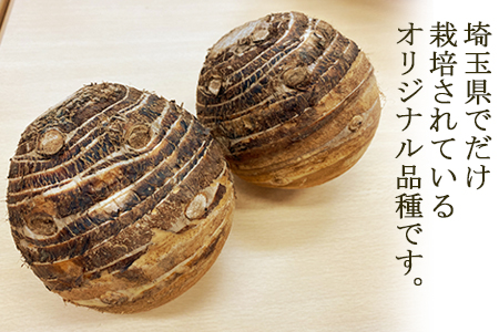 里芋 丸系八つ頭 2kg 数量限定 期間限定 野菜 芋 さといも 八つ頭 埼玉県 限定 羽生市産