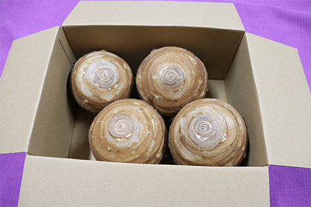 里芋 丸系八つ頭 4kg 数量限定 期間限定 野菜 芋 さといも 八つ頭 埼玉県 限定 羽生市産