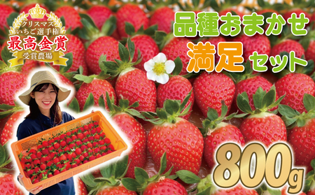 ꕥ押しフルーツオーダーꕥ8月いちご以外おやすみꕥ （おみやげ
