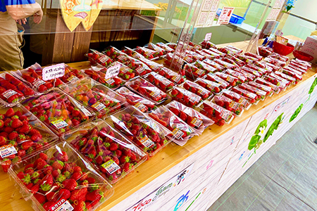 100個限定 あまりん 250ｇ 2パック いちご 苺 ストロベリー ご当地 果物 くだもの フルーツ デザート 食品 冷蔵 埼玉県 羽生市