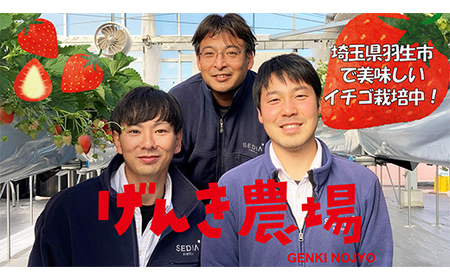 【予約】おまかせ 苺 満足セット 560g 食べ比べ苺 いちご