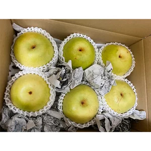 【 予約受付 】 梨 ＜20個限定＞ かおり梨 約 3kg （5～8玉） 9月中旬より順次出荷予定 令和7年度産 梨爺が作ったうんめ～かおり梨 香梨 ナシ フルーツ 果物 くだもの スイーツ 国産 秋梨 和梨 期間限定 数量限定