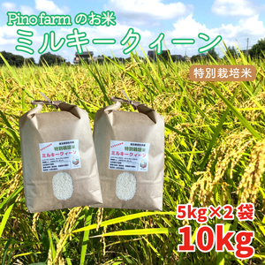 令和4年 新米 Pinofarmのお米 特別栽培米 ミルキークイーン 10kg
