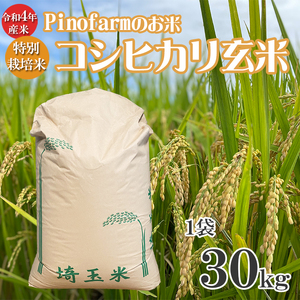 令和4年 新米 Pinofarmのお米 コシヒカリ 玄米 30kg