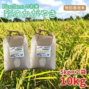令和4年 新米 Pinofarmのお米 特別栽培米 彩のかがやき 10kg
