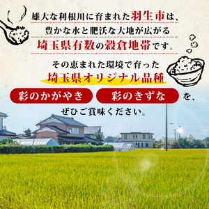 【米】 令和7年産 新米 彩のかがやき 彩のきずな 食べ比べ 10kg 米 埼玉県 羽生市