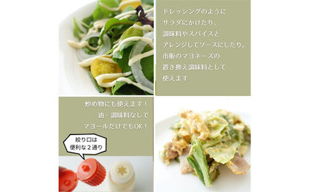 マヨール ゼロプラス　210g×10本セット　卵不使用 コレステロールゼロ マヨネーズ マヨネーズタイプ 健康ドレッシング ドレッシング 蒟蒻屋本舗 ヘルシー カロリーオフ ダイエット 送料無料 No.093