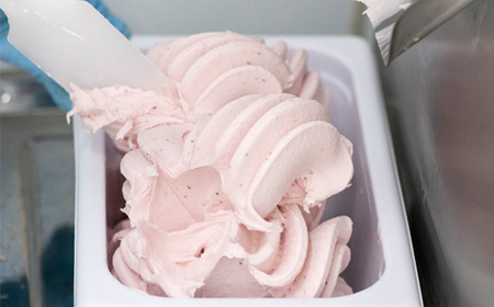 老舗煎餅店プロデュースのジェラート 基本の6個セット*煎餅付* No.109