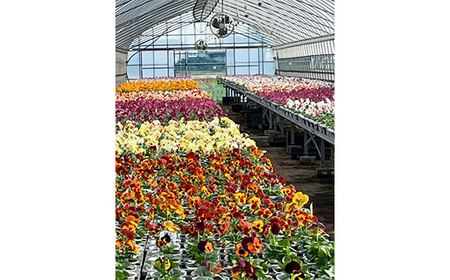 【季節の寄植えリース】ウォームセレクト*花工房すなが* No.147