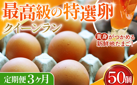 黄身がつかめる新鮮地たまごクイーンラン 赤玉50個入《定期便3ヶ月