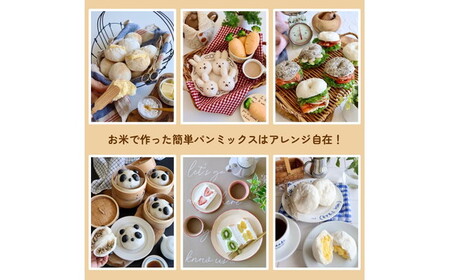 お米で作った簡単パンミックス（300g×10セット） No.496