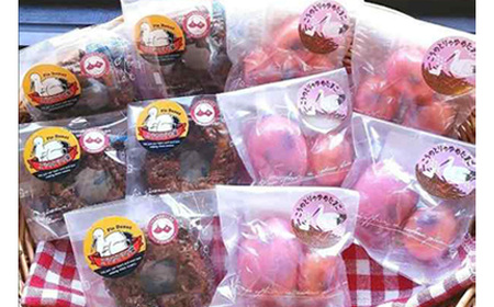 こうのとりの焼き菓子　10個セット No.510