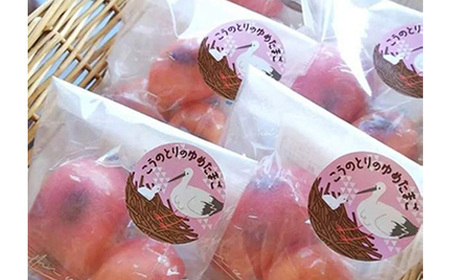 こうのとりの焼き菓子　10個セット No.510