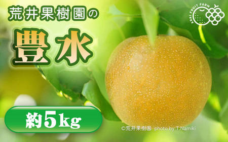 【先行予約】荒井果樹園の豊水　約5kg No.526