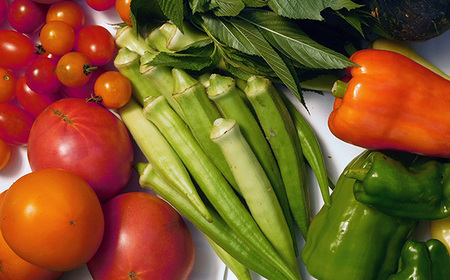 【有機野菜の定期便3ヶ月】ガバレ農場の季節の有機野菜詰め合わせセット No.527