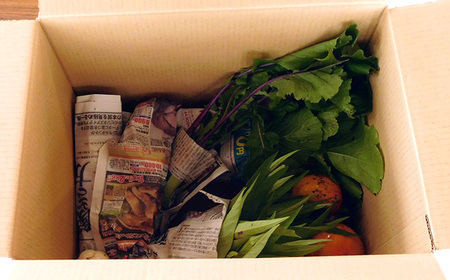 【有機野菜の定期便3ヶ月】ガバレ農場の季節の有機野菜詰め合わせセット No.527