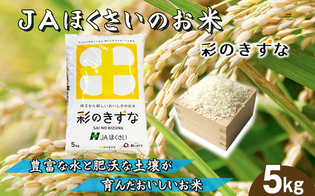 鴻巣市産「彩のきずな」5kg / 令和7年産 新米 2025年産 米 精米 お米 5キロ ご飯 ブランド米 美味しい 粘り もっちり 埼玉県 No.569